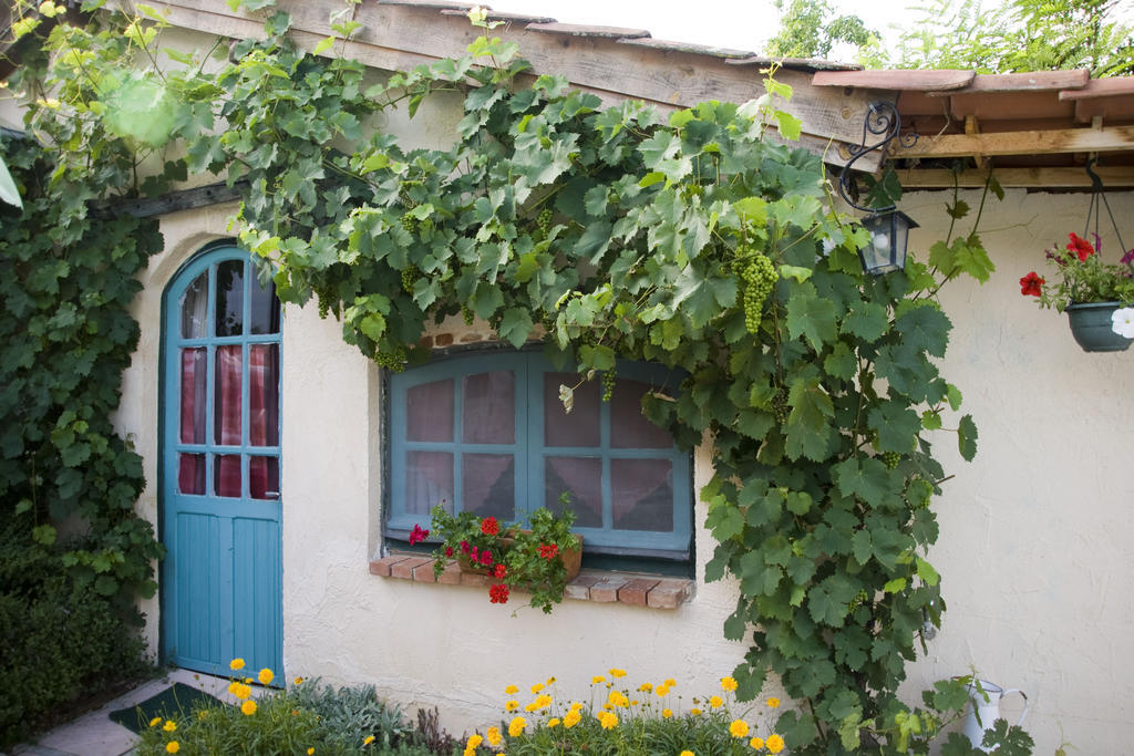 Chambre D'Hotes Oeuil De Bouc Madiran 객실 사진